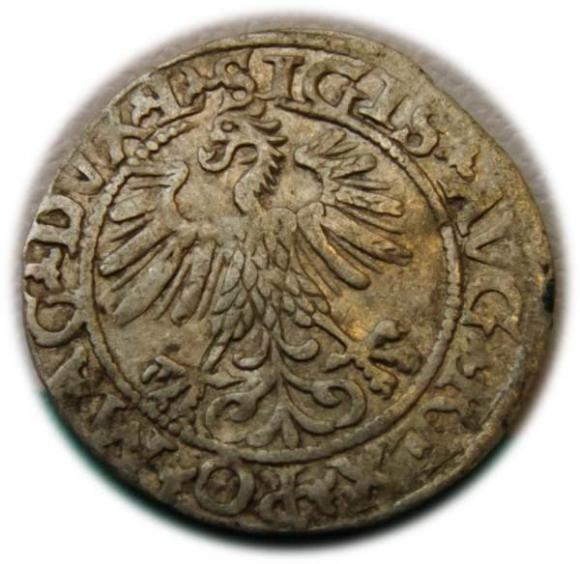 Półgrosz 1560 Zygmunt II August Wilno (2)