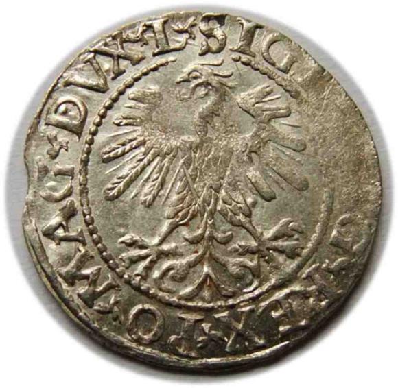 Półgrosz 1560 Zygmunt II August Wilno (2)