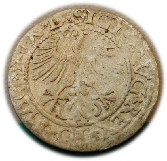 Półgrosz 1561 Zygmunt II August Wilno (2)