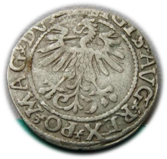 Półgrosz 1561 Zygmunt II August Wilno (2)