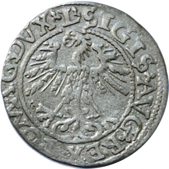 Półgrosz 1562 Zygmunt II August Wilno (2)
