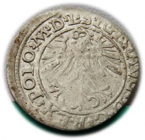 Półgrosz 1564 Zygmunt II August Wilno (2)