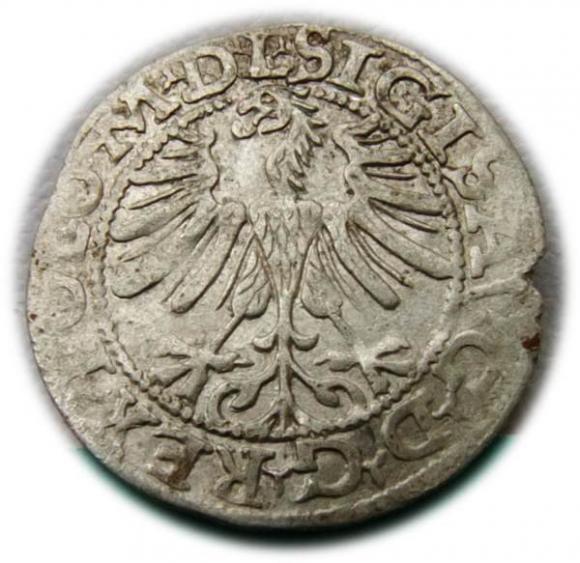 Półgrosz 1565 Zygmunt II August Wilno (2)