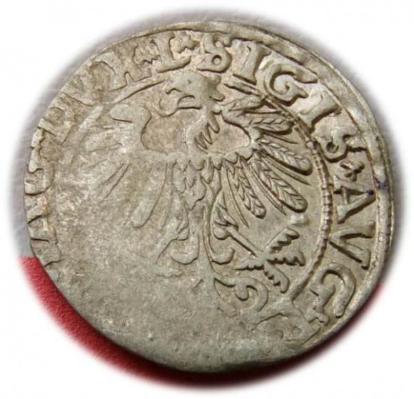 Półgrosz 1557 Zygmunt II August Wilno (2)