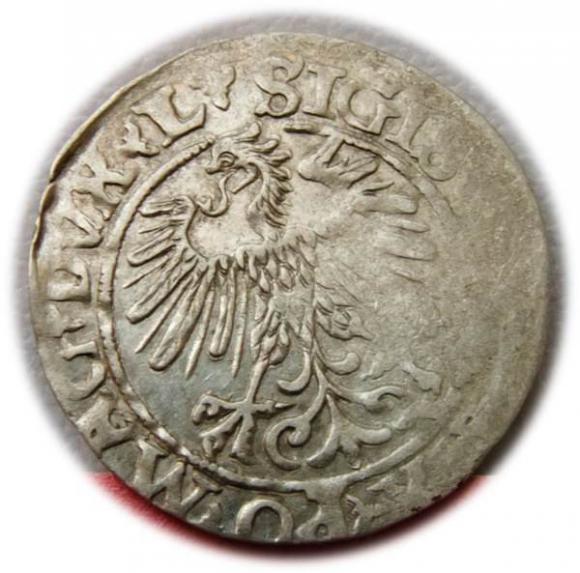 Półgrosz Zygmunt II August Wilno (2)