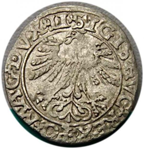 Półgrosz 1561 Zygmunt II August Wilno (2)