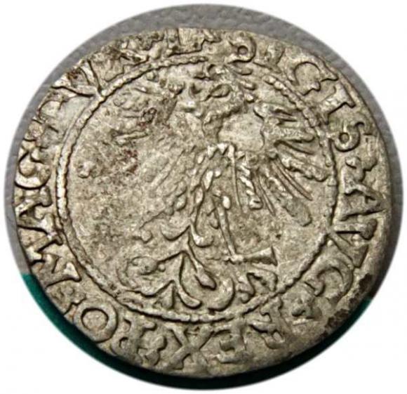 Półgrosz 1562 Zygmunt II August Wilno (2)