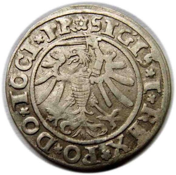 Grosz 1534 Zygmunt I Stary Elbląg (2)