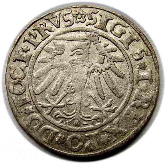 Grosz 1534 Zygmunt I Stary Elbląg (2)
