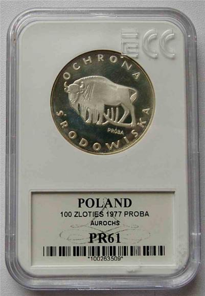 100 złotych 1977 Żubr próba grading (1)