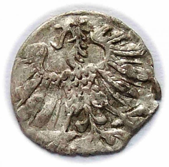 Denar 1558 Zygmunt II August Wilno (2)