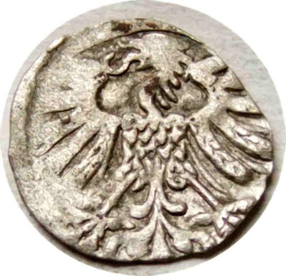 Denar 1558 Zygmunt II August Wilno (2)