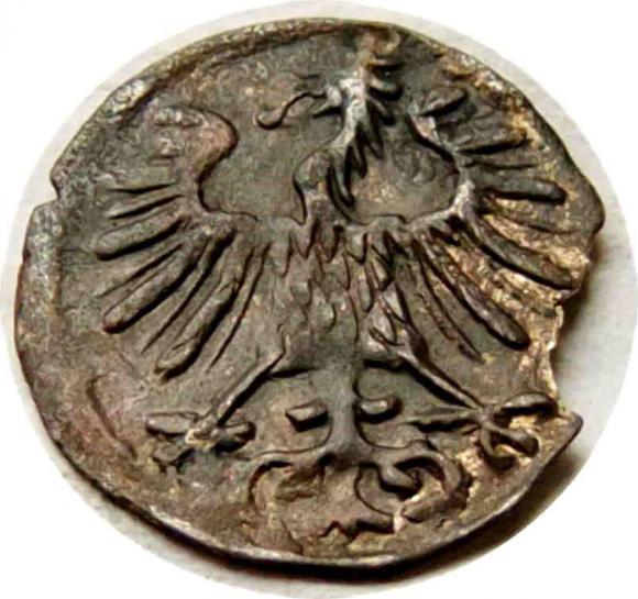 Denar 1556 Zygmunt II August Wilno (2)