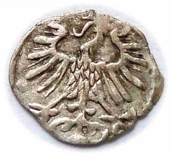 Denar 1557 Zygmunt II August Wilno (2)