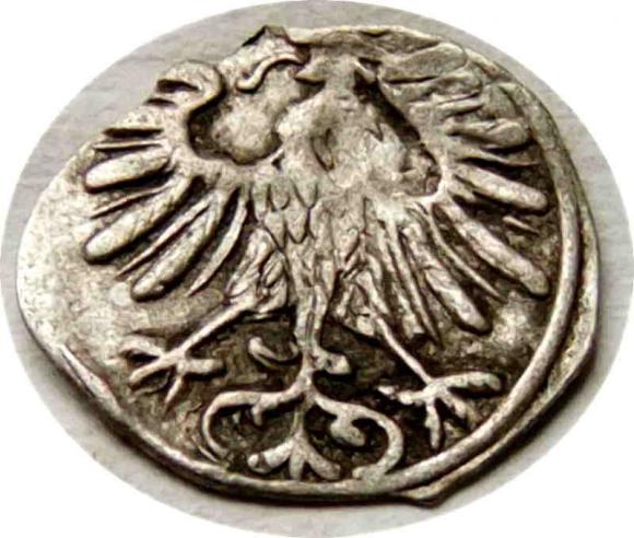 Denar 1556 Zygmunt II August Wilno (2)