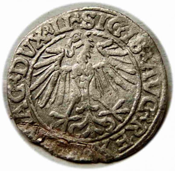 Półgrosz 1548 Zygmunt II August Wilno (2)