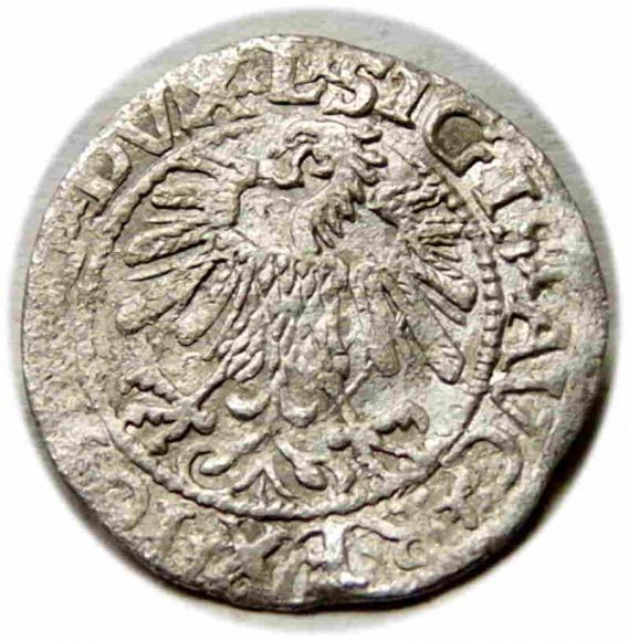 Półgrosz 1559 Zygmunt II August Wilno (2)