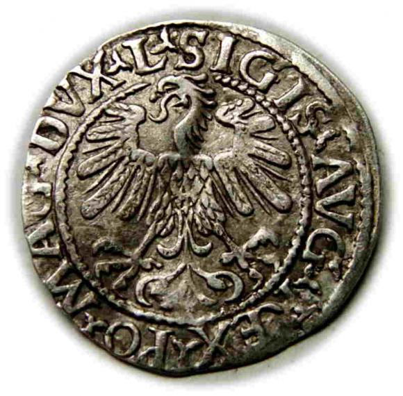 Półgrosz 1559 Zygmunt II August Wilno (2)