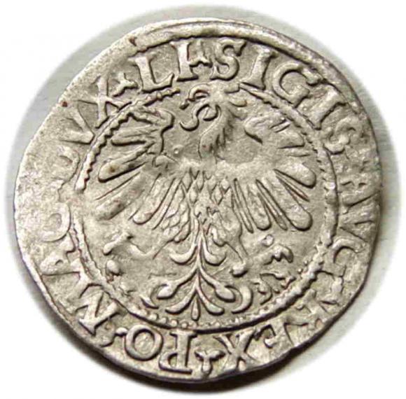 Półgrosz 1559 Zygmunt II August Wilno (2)