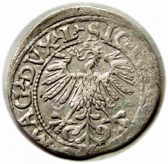 Półgrosz 1560 Zygmunt II August Wilno (2)