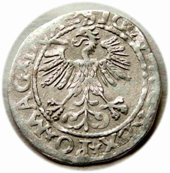 Półgrosz 1560 Zygmunt II August Wilno (2)