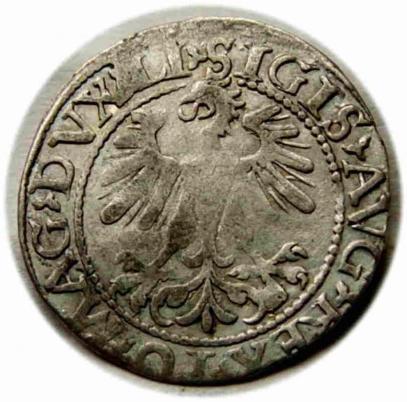 Półgrosz 1560 Zygmunt II August Wilno (2)