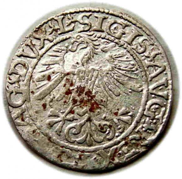 Półgrosz 1561 Zygmunt II August Wilno (2)