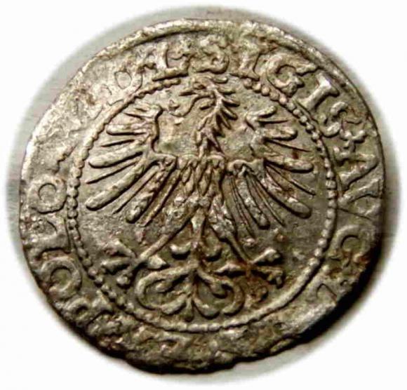 Półgrosz 1563 Zygmunt II August Wilno (2)