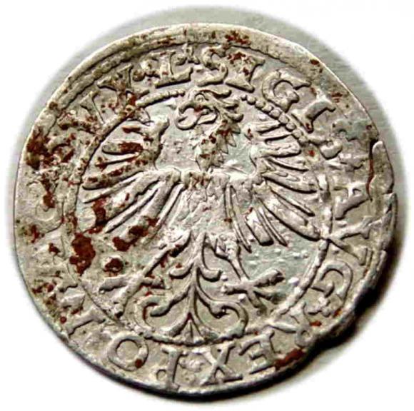 Półgrosz 1563 Zygmunt II August Wilno (2)