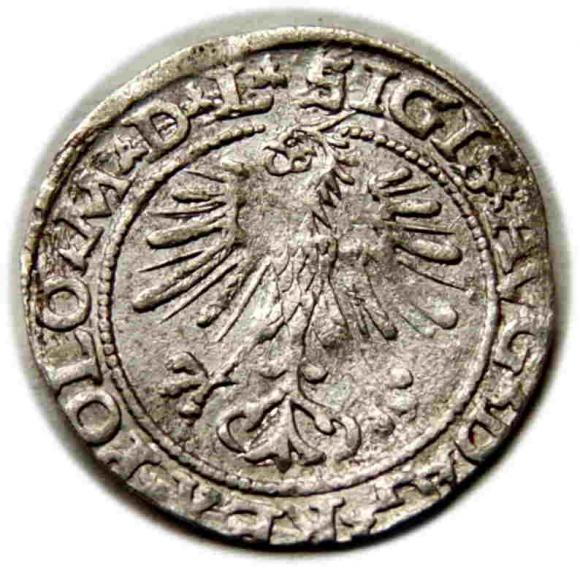 Półgrosz 1564 Zygmunt II August Wilno (2)