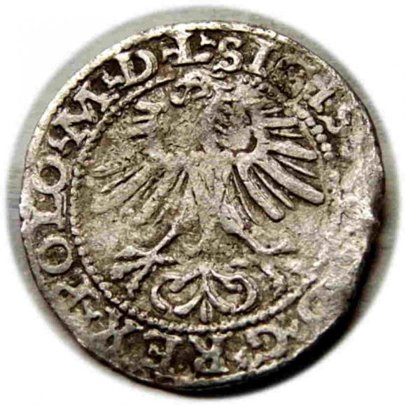 Półgrosz 1564 Zygmunt II August Wilno (2)