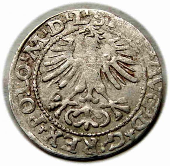 Półgrosz 1564 Zygmunt II August Wilno (2)