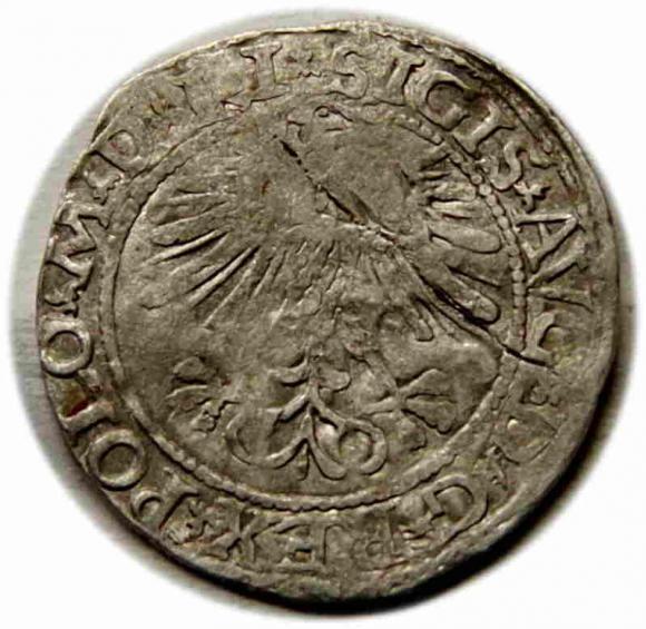 Półgrosz 1564 Zygmunt II August Wilno (2)