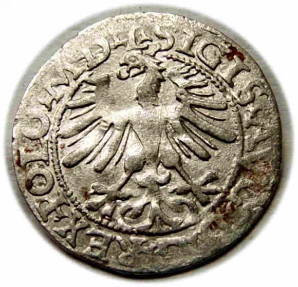 Półgrosz 1564 Zygmunt II August Wilno (2)