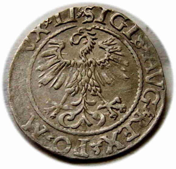 Półgrosz 1561 Zygmunt II August Wilno (2)