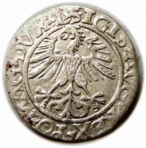 Półgrosz 1561 Zygmunt II August Wilno (2)