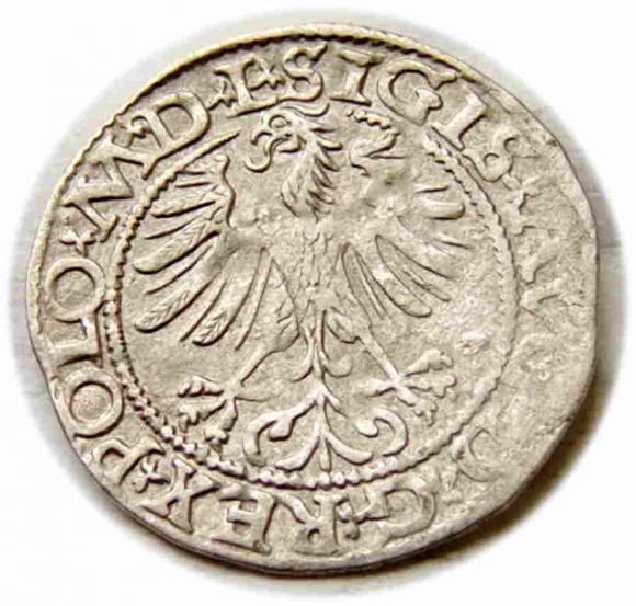 Półgrosz 1565 Zygmunt II August Wilno (2)