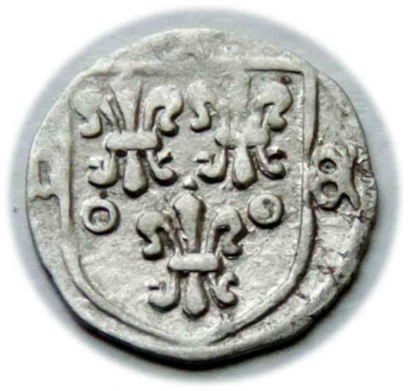 Halerz Nysa (1)