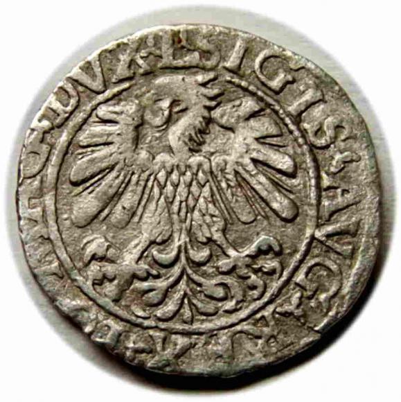 Półgrosz 1559 Zygmunt II August Wilno (2)