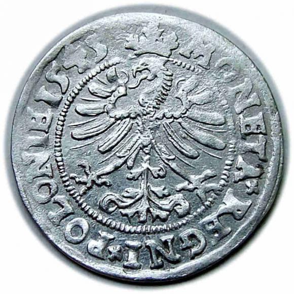 Grosz 1545 Zygmunt I Stary Kraków (2)