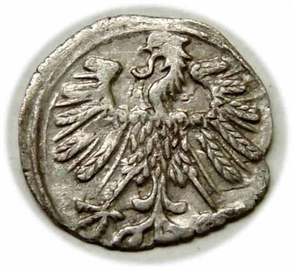 Denar 1558 Zygmunt II August Wilno (2)