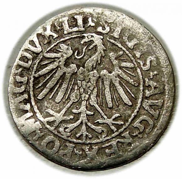Półgrosz 1546 Zygmunt II August Wilno (2)