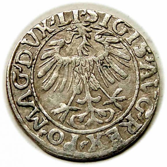 Półgrosz 1557 Zygmunt II August Wilno (2)