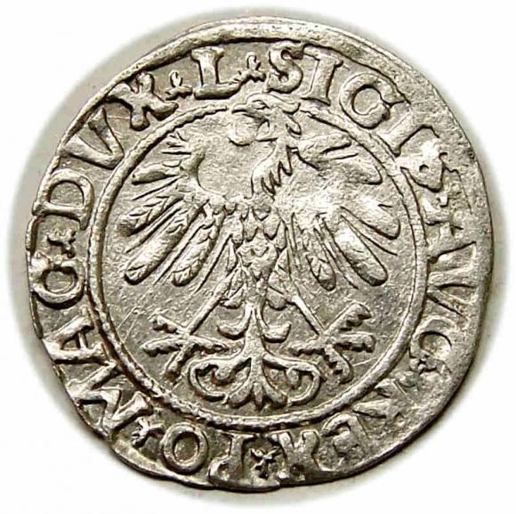 Półgrosz 1558 Zygmunt II August Wilno (2)
