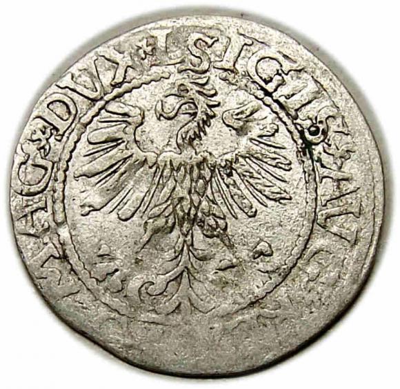 Półgrosz 1560 Zygmunt II August Wilno (2)
