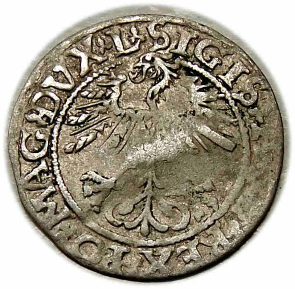 Półgrosz 1561 Zygmunt II August Wilno (2)