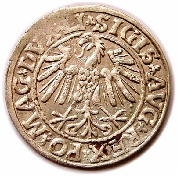 Półgrosz 1547 Zygmunt II August Wilno (2)