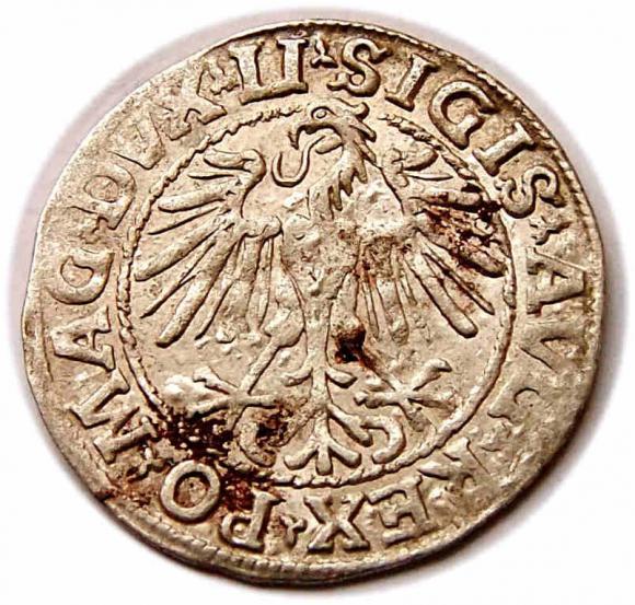 Półgrosz 1548 Zygmunt II August Wilno (2)