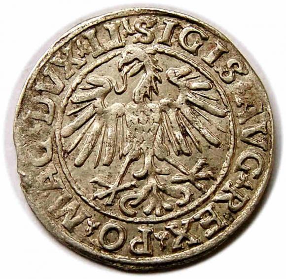 Półgrosz 1548 Zygmunt II August Wilno (2)