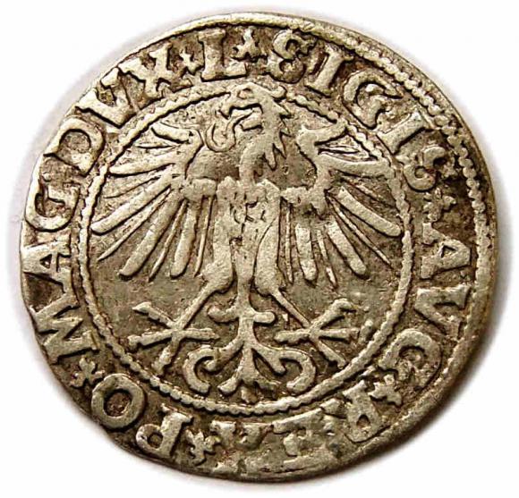Półgrosz 1549 Zygmunt II August Wilno (2)